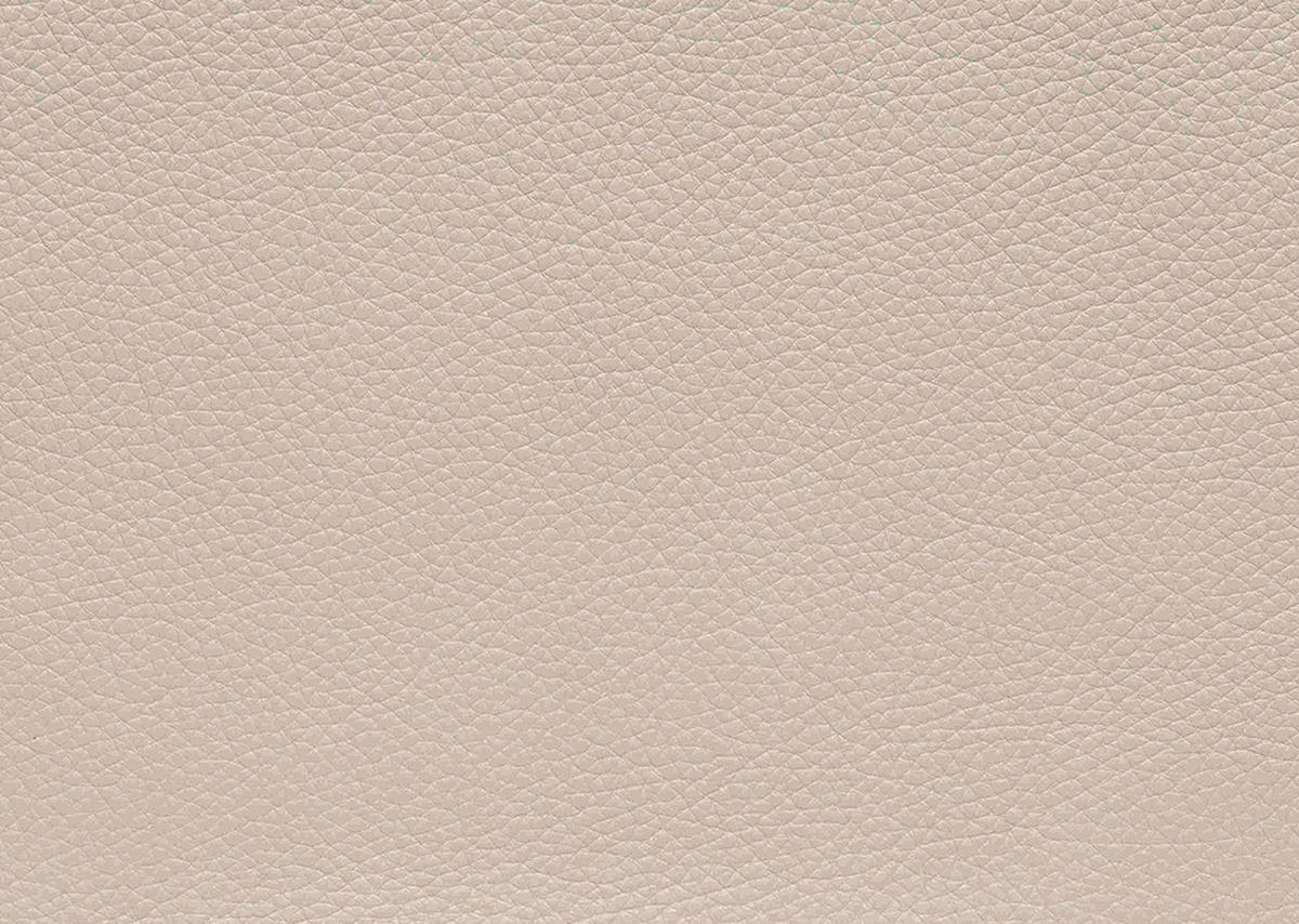 SESSEL in Echtleder Creme  - Wildeiche/Creme, Design, Leder/Holz (72/82/86cm) - Koinor