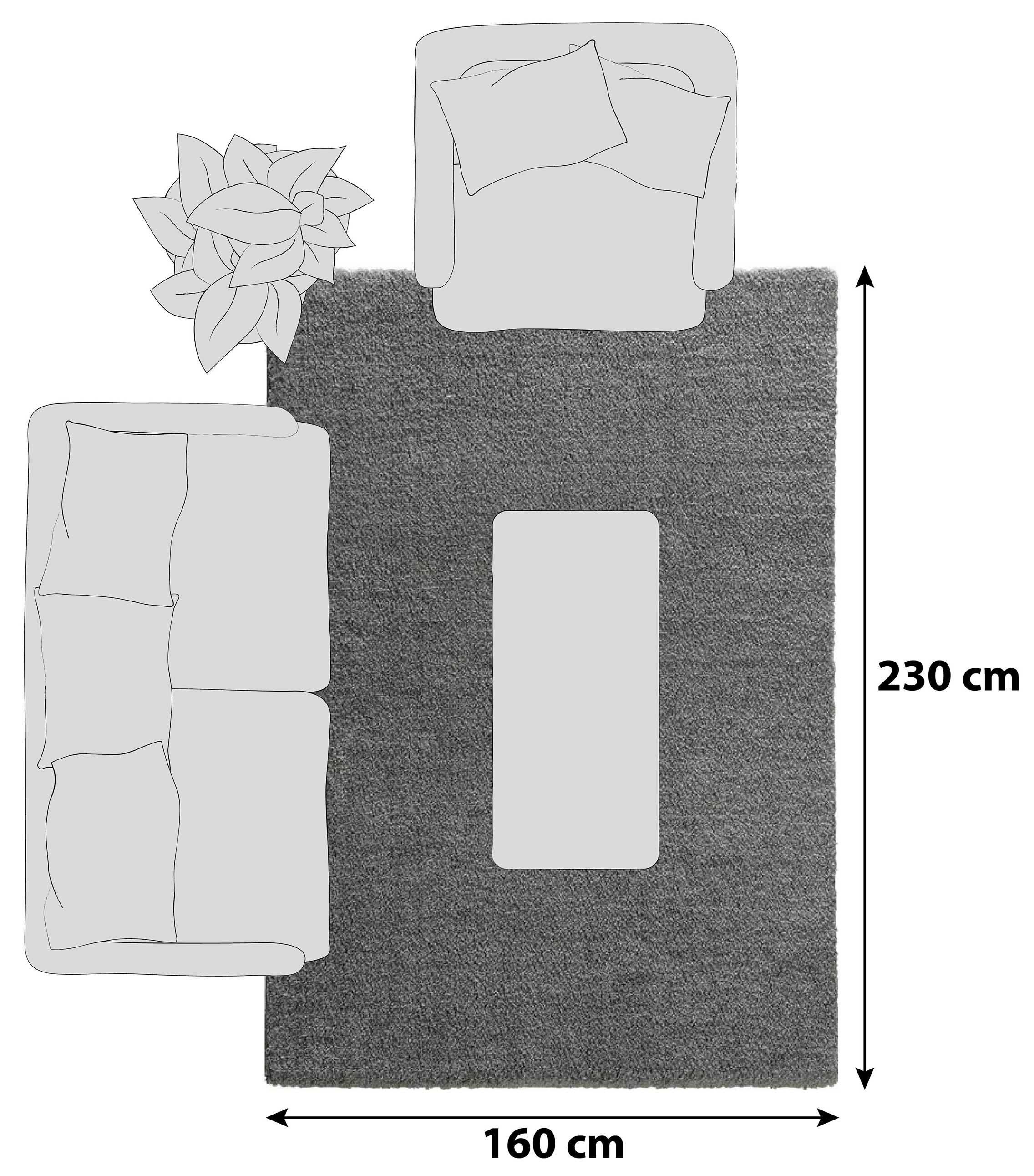 HOCHFLORTEPPICH 160/230 cm New Livorno Grau  - Grau, Basics, Textil (160/230cm) - Novel
