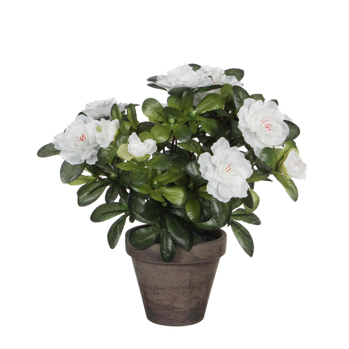 VEŠTAČKI CVET - bela, Osnovno, plastika (11.5/27cm)