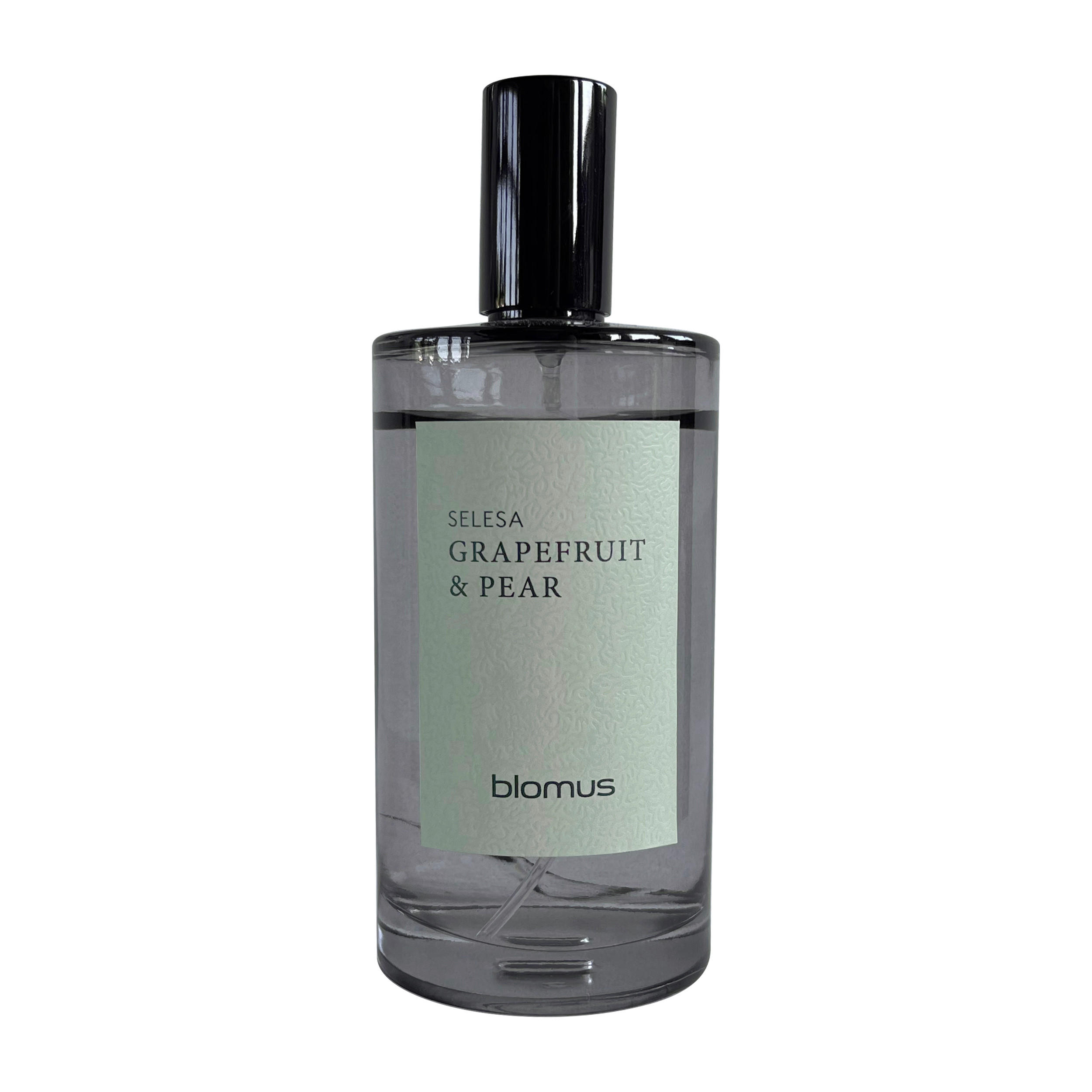 RAUMSPRAY SELESA  - Grau, Trend, Glas (5/13cm) - Blomus