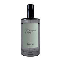 RAUMSPRAY SELESA  - Grau, Trend, Glas (5/13cm) - Blomus