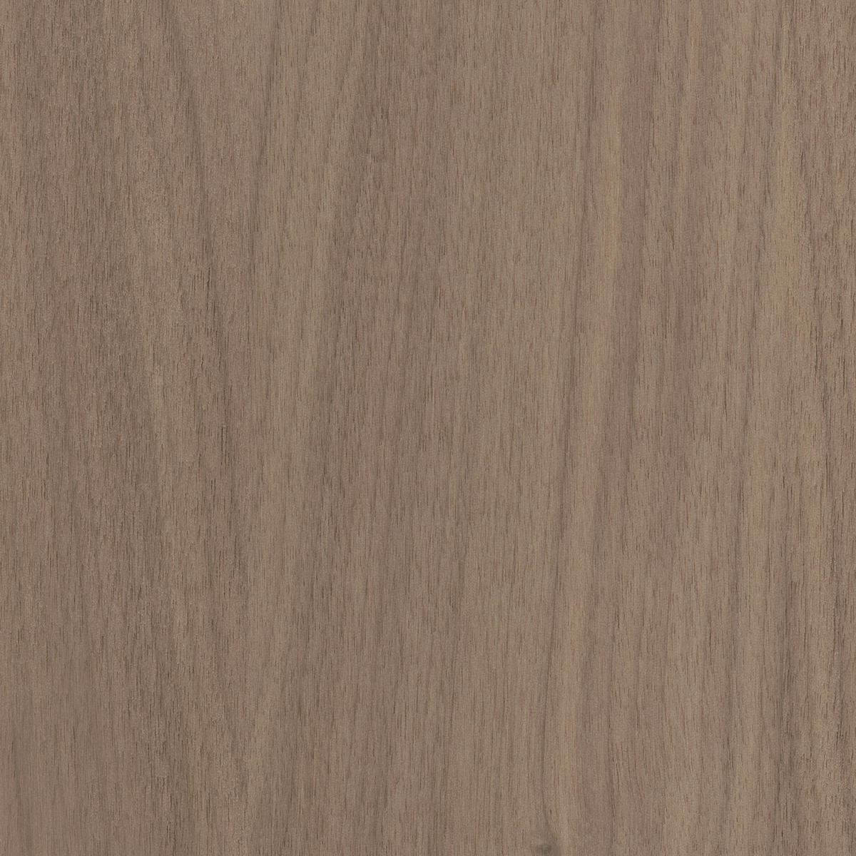 AKUSTIKPANEEL Walnuss furniert 57.25/1.9/119 cm  - Walnussfarben, KONVENTIONELL, Holzwerkstoff/Textil (57.25/1.9/119cm)