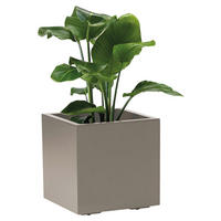 BLUMENKASTEN  - Taupe, Basics, Kunststoff (39,5/39,5/39,5cm)