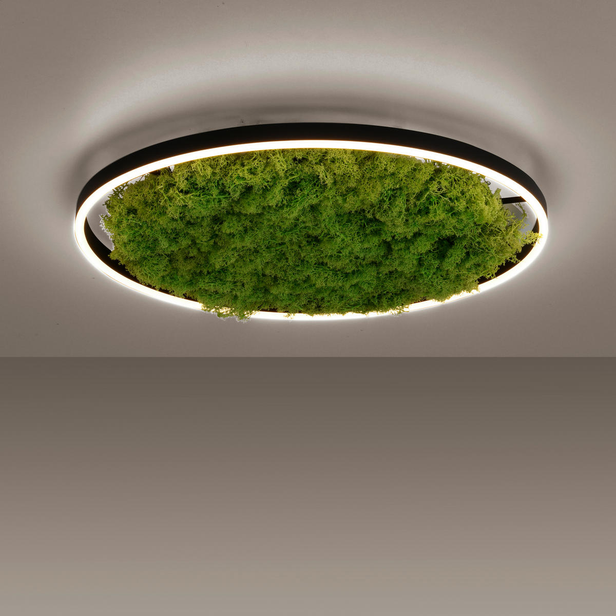 WANDLEUCHTE Ritus 58,5/58,5/5,3 cm   - Natur, Naturmaterialien/Kunststoff (58,5/58,5/5,3cm)