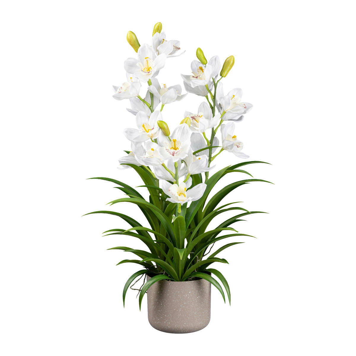 KUNSTPFLANZE Orchidee 70 cm  - Weiß/Grau, Design, Kunststoff (70cm) - P & B