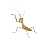 DEKOTIER - Goldfarben, Trend, Kunststoff/Metall (25,5/18/23cm) - Ambia Home