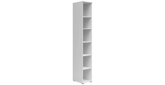 REGAL Weiß - Anthrazit/Weiß, MODERN, Holzwerkstoff/Kunststoff (30/195/40cm) - Carryhome