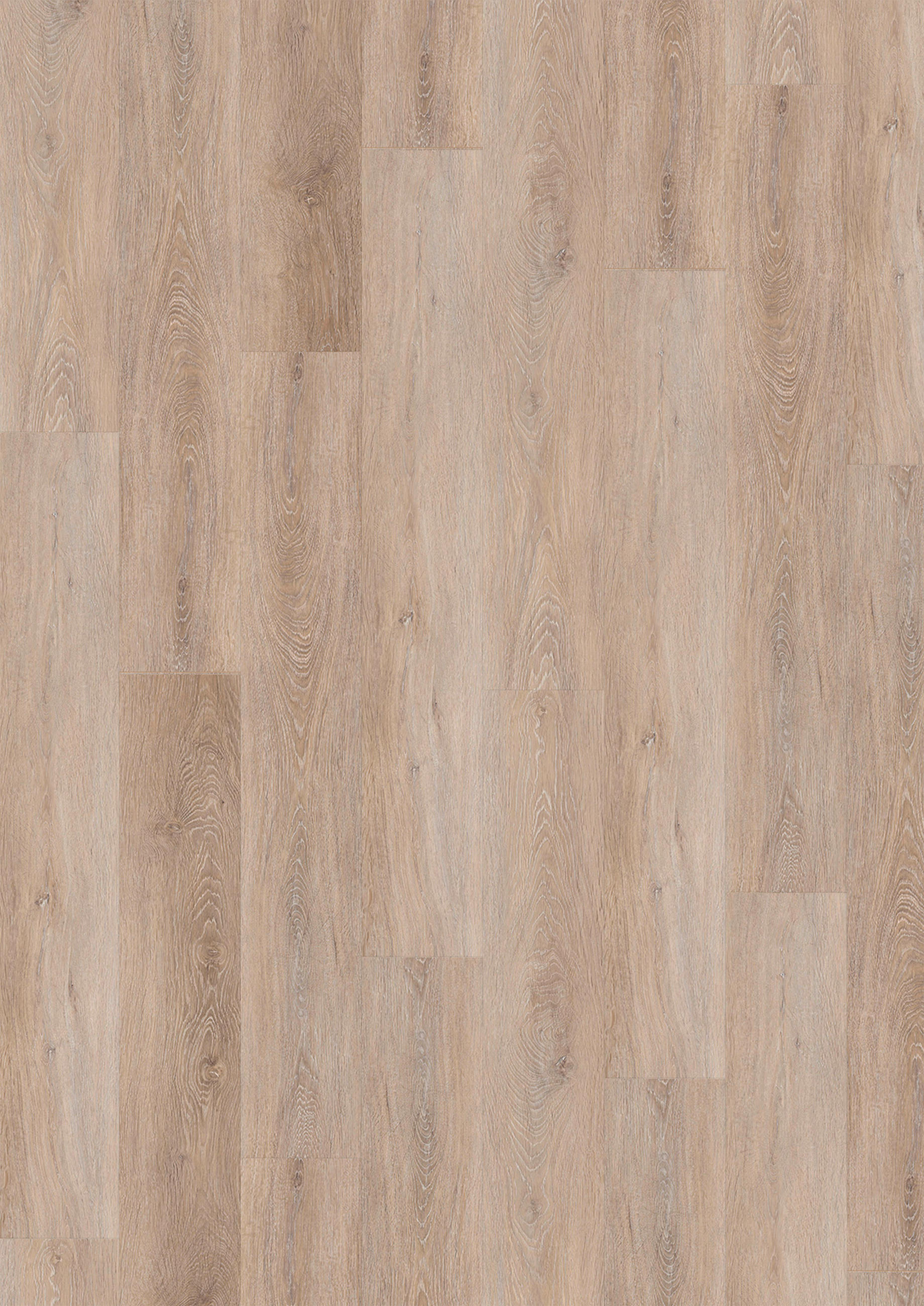 VINYLBODEN SPC 5mm inkl. Trittschall  per  m² - Eichefarben, Basics, Kunststoff (18,3/122/0,5cm)