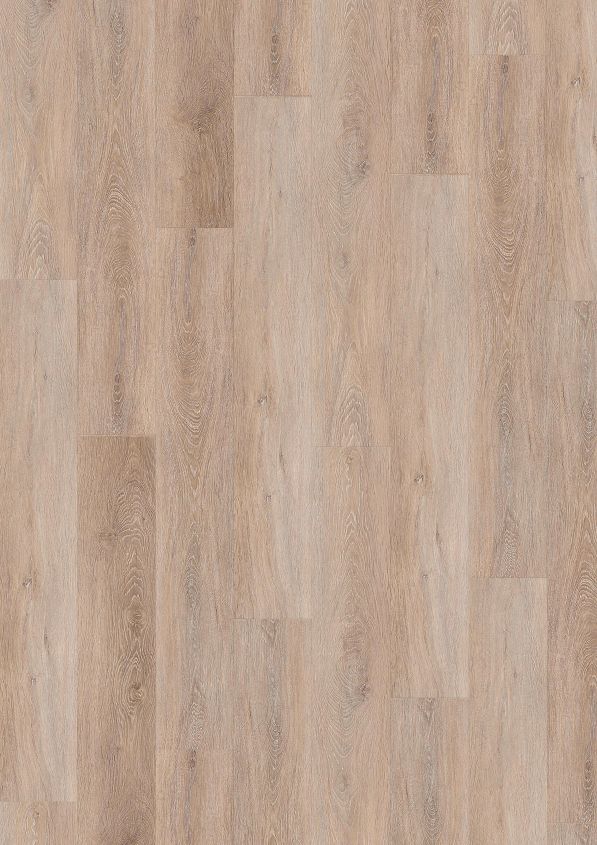 VINYLBODEN SPC 5mm inkl. Trittschall  per  m² - Eichefarben, Basics, Kunststoff (18,3/122/0,5cm)