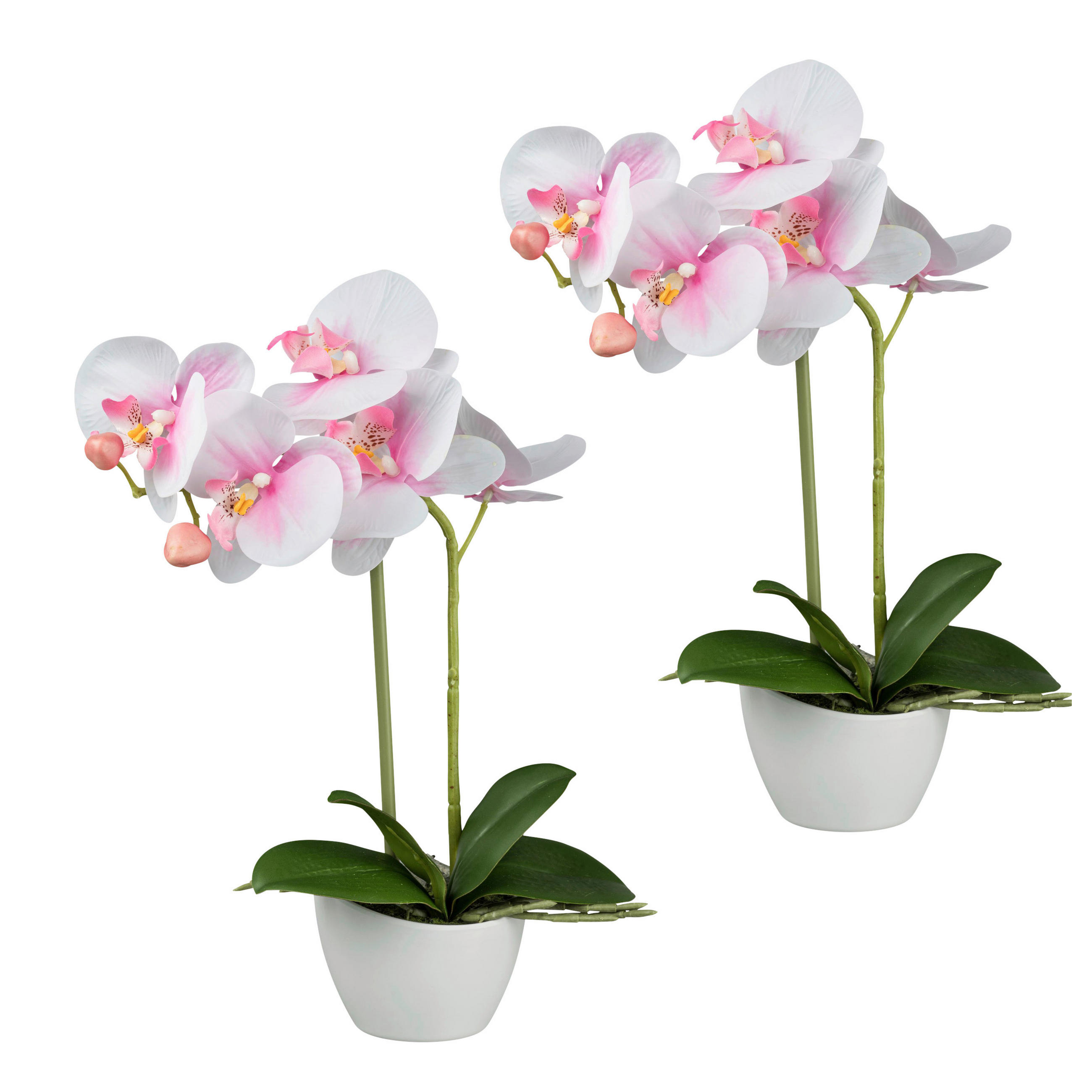 KUNSTPFLANZE Orchidee 33 cm - Rosa/Weiß, Design, Kunststoff (33cm) - P & B