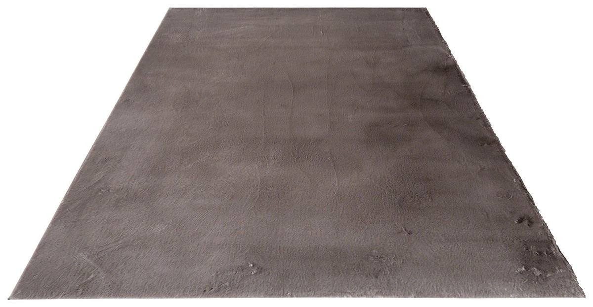 Covor Din Blană - taupe, Konventionell, textil (120/160cm) - Boxxx