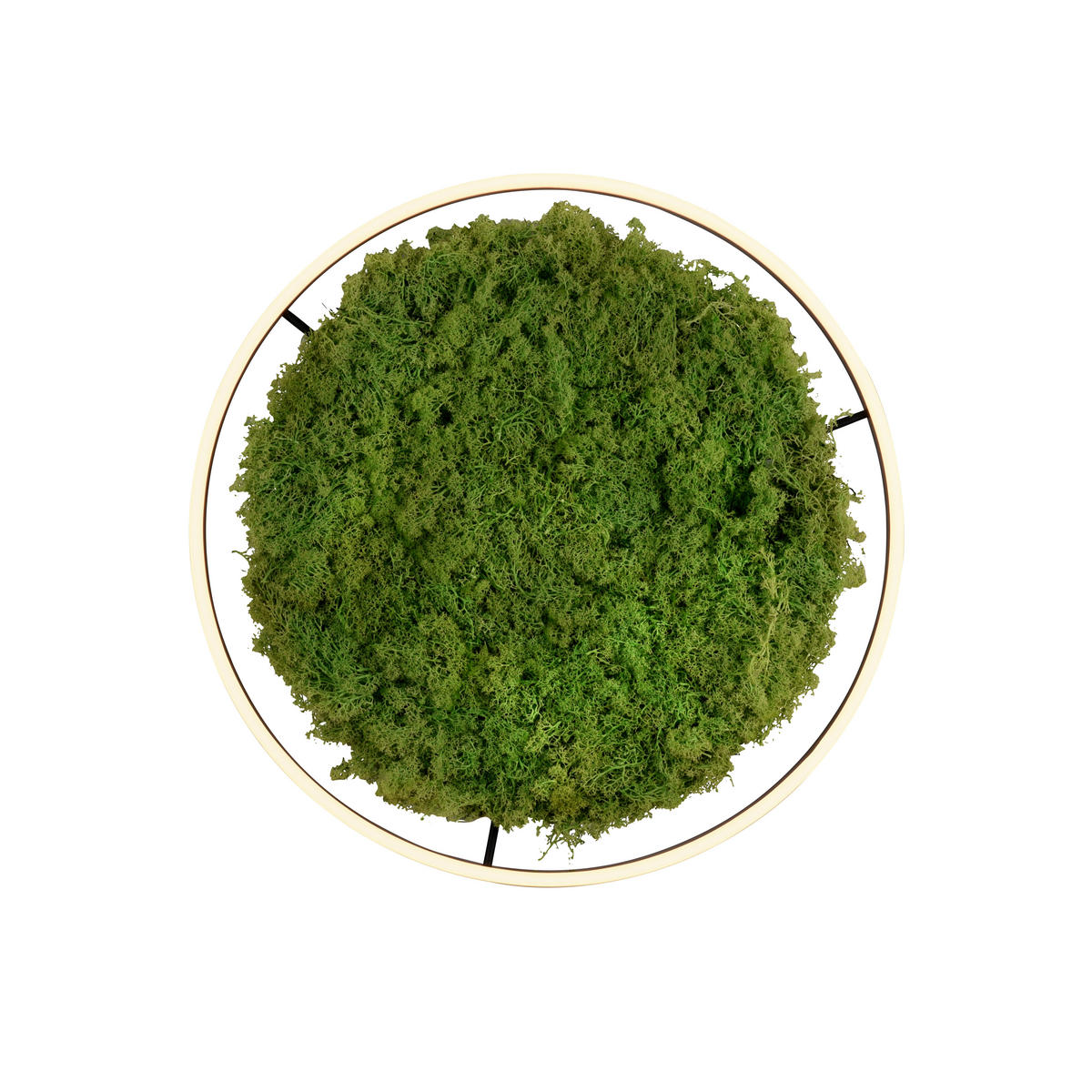 WANDLEUCHTE Ritus 58,5/58,5/5,3 cm   - Natur, Naturmaterialien/Kunststoff (58,5/58,5/5,3cm)