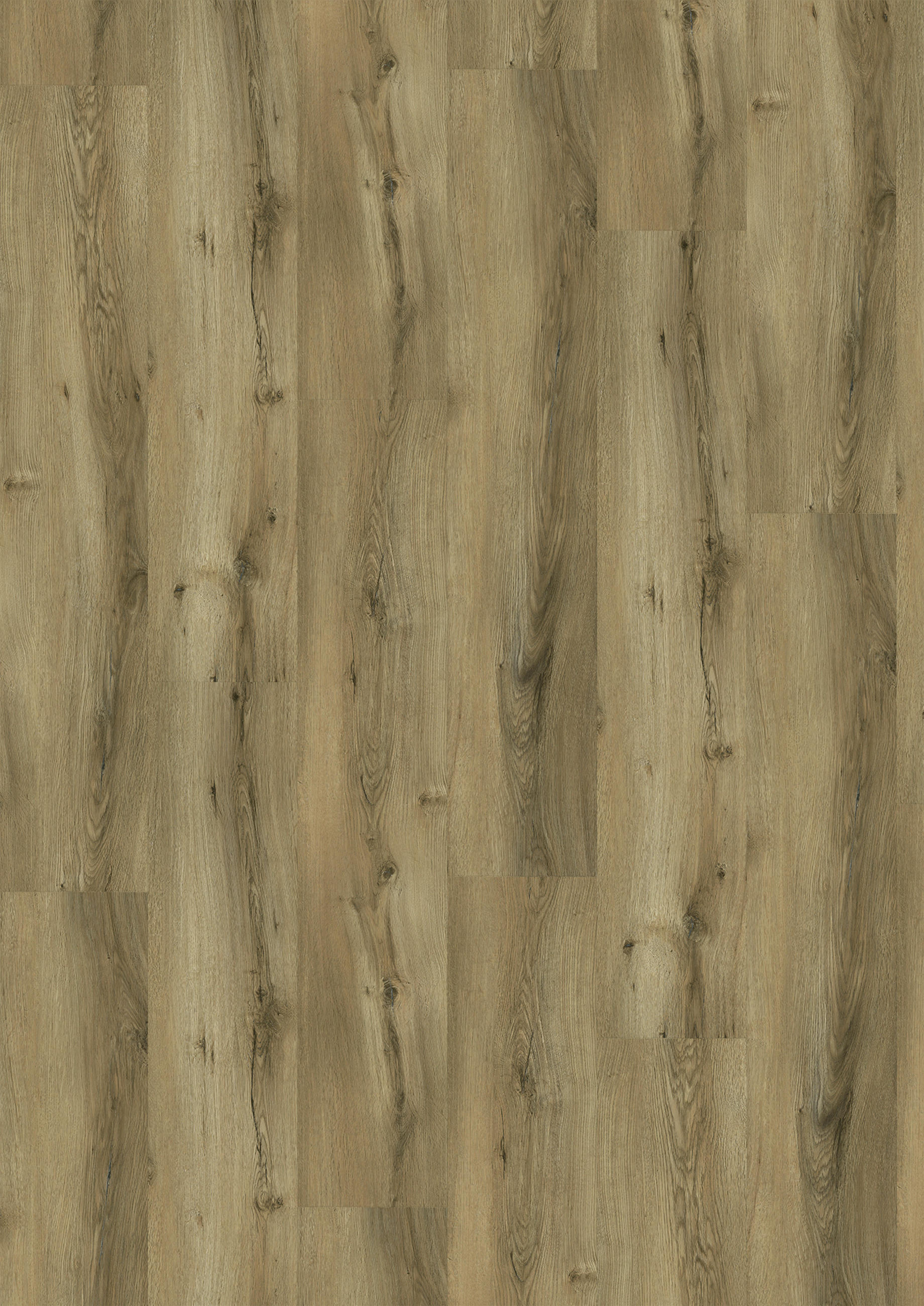 VINYLBODEN SPC 5mm Breitdiele inkl. Trittschall strong  per  m² - Eichefarben, Basics, Kunststoff (22,6/122/0,5cm)