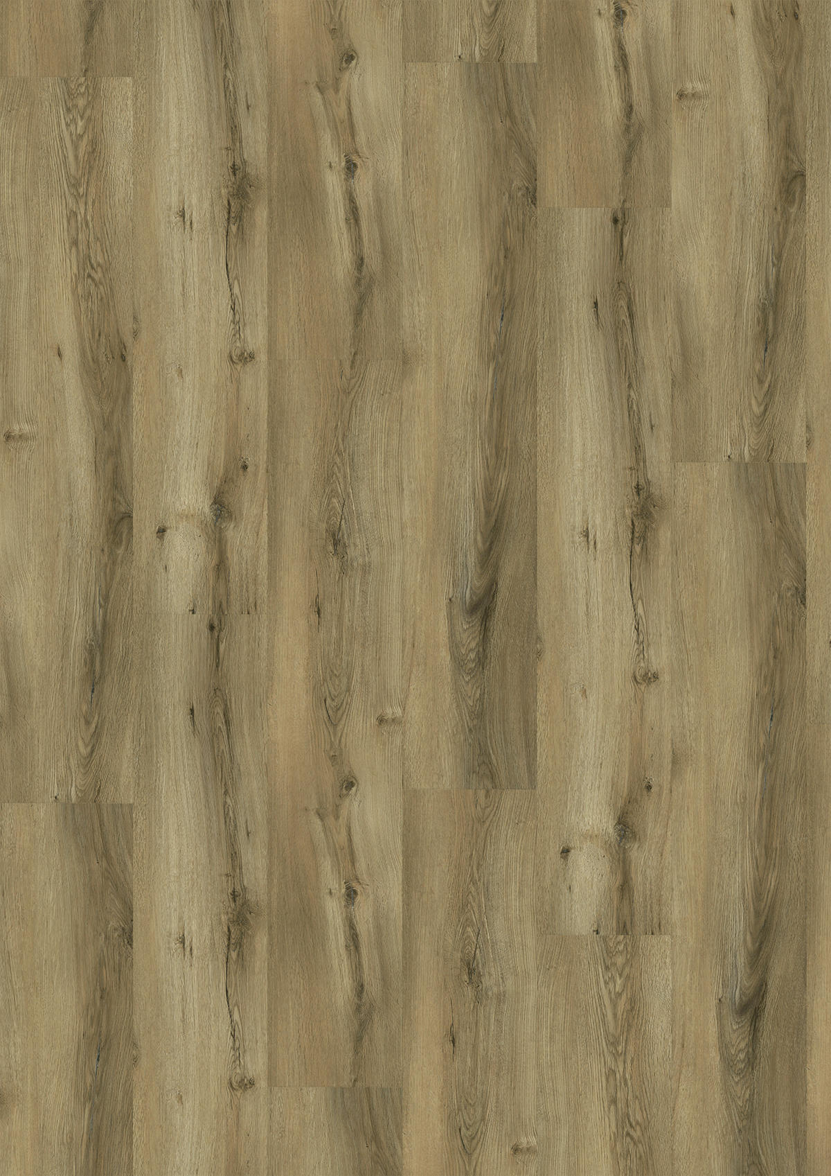 VINYLBODEN SPC 5mm Breitdiele inkl. Trittschall strong  per  m² - Eichefarben, Basics, Kunststoff (22,6/122/0,5cm)