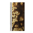LED-TISCHLEUCHTE Oxira 14/40/14 cm  - Multicolor/Schwarz, Design, Kunststoff/Metall (14/40/14cm) - Dieter Knoll