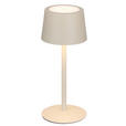 AKKU-TISCHLEUCHTE 9/22 cm  - Beige, Basics, Metall (9/22cm) - Novel