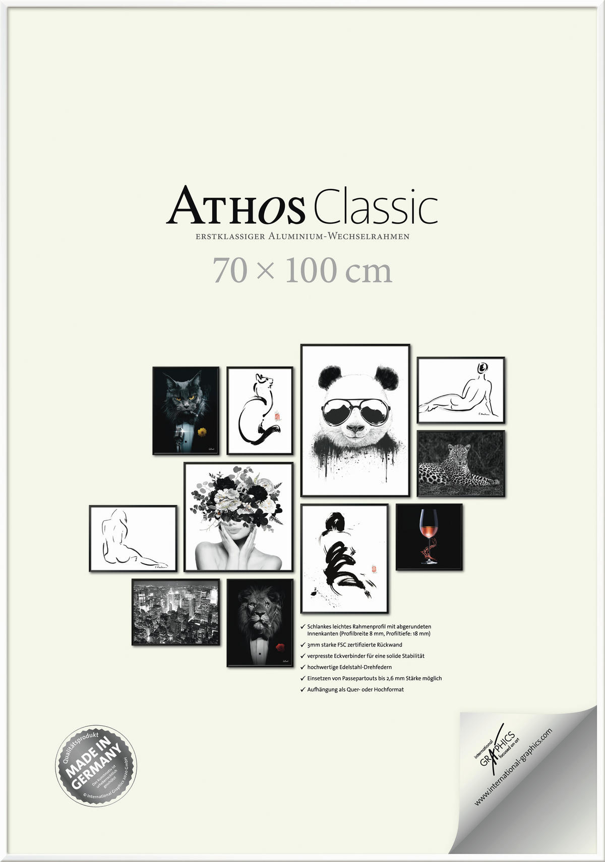 BILDERRAHMEN - Weiß Hochglanz, Basics, Papier/Holzwerkstoff (70/100/1,8cm)