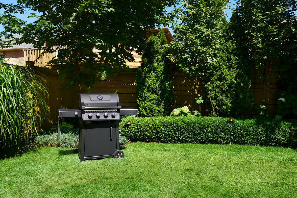 PLINSKI ROŠTILJ F425DPK-1  crna  - crna, Basics, metal (64/132cm) - Napoleon