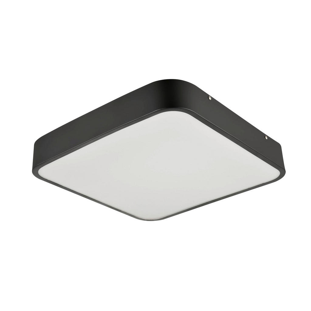 Boxxx STROPNÍ LED SVÍTIDLO, 40/40/5 cm - černá,bílá