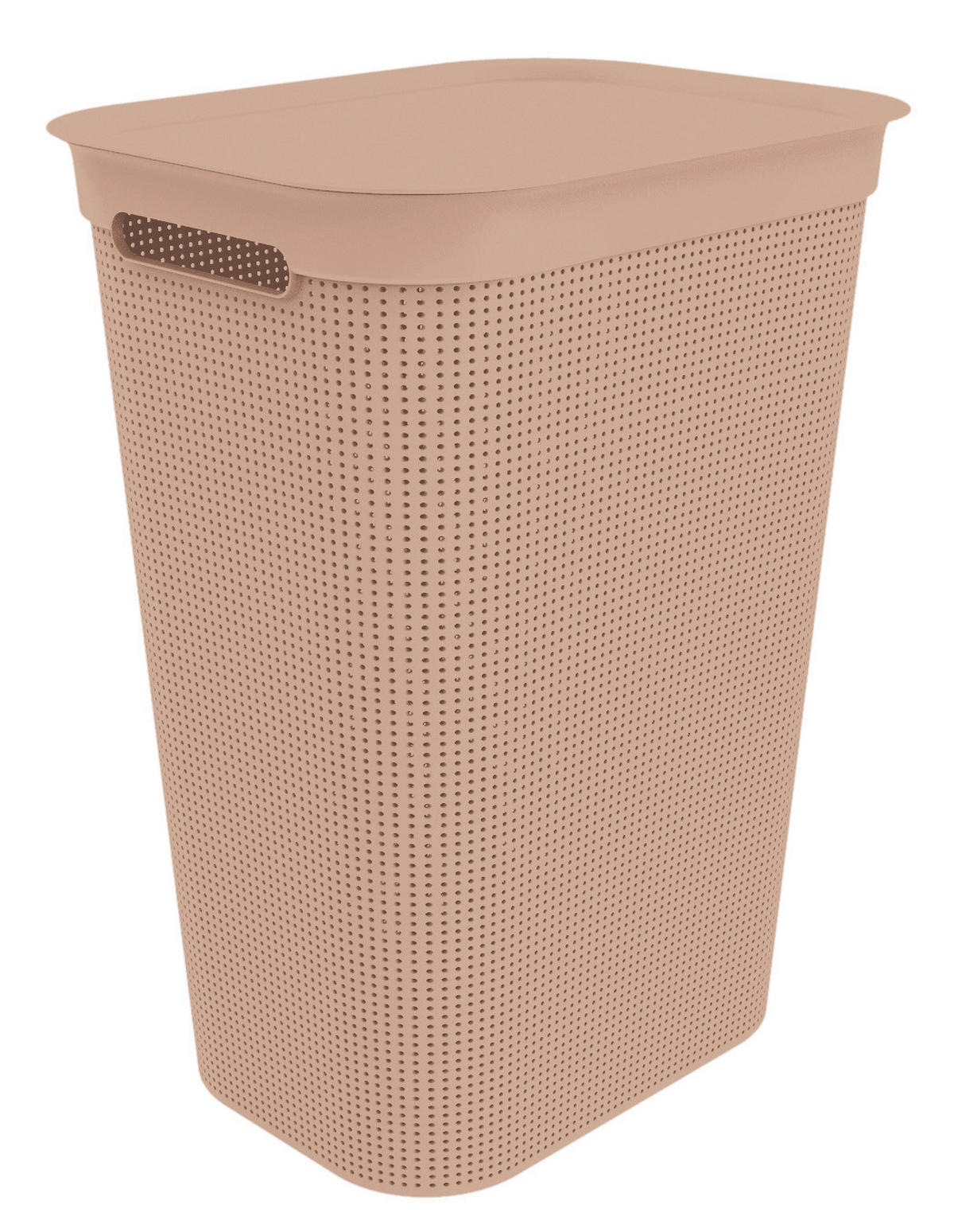 PRÁDELNÍ KOŠ,  - Konvenční, plast (43,1/34/52,9cm) - Rotho