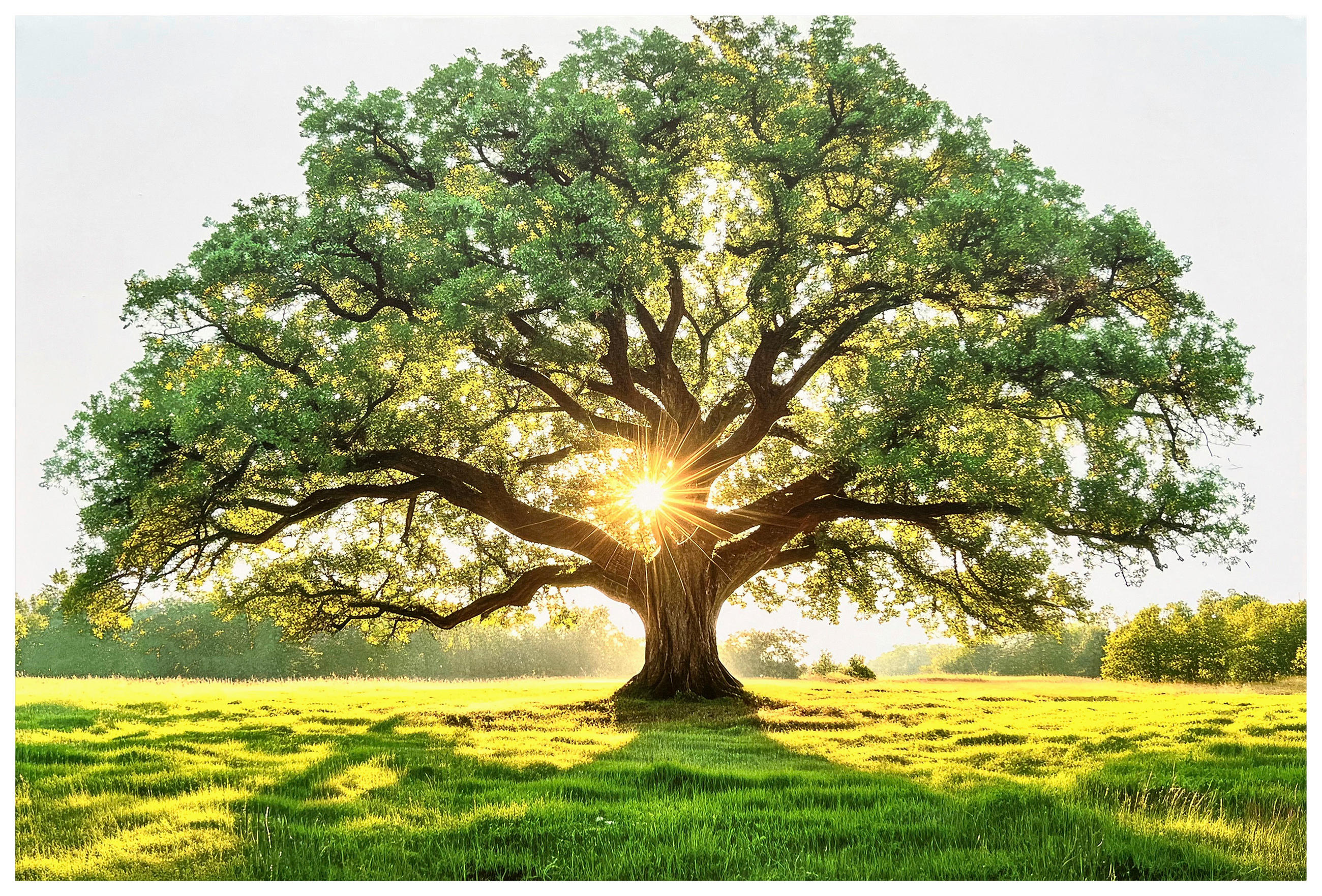 Leinwandbild Lennard