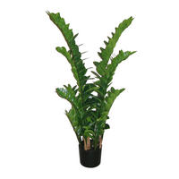 ZAMIFOLIA 110 cm  - Schwarz/Grün, Trend, Kunststoff (110cm) - P & B