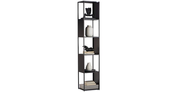 REGAL Schwarz - Schwarz, Trend, Kunststoff/Metall (37/188/30cm) - Carryhome