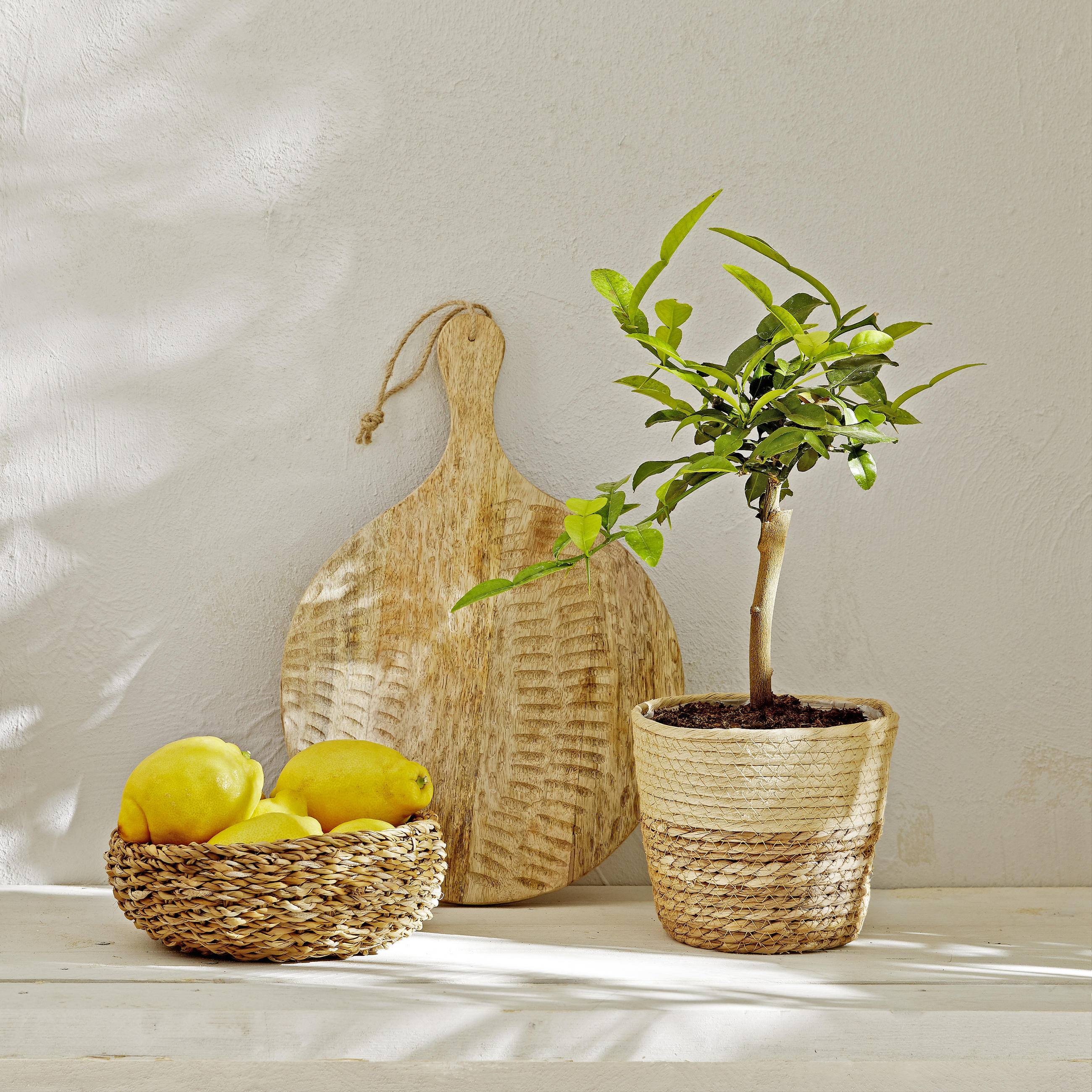 Dekobrett 30cm D mit Griff - Naturfarben, Trend, Holz (42/30/2cm) - Light & Living