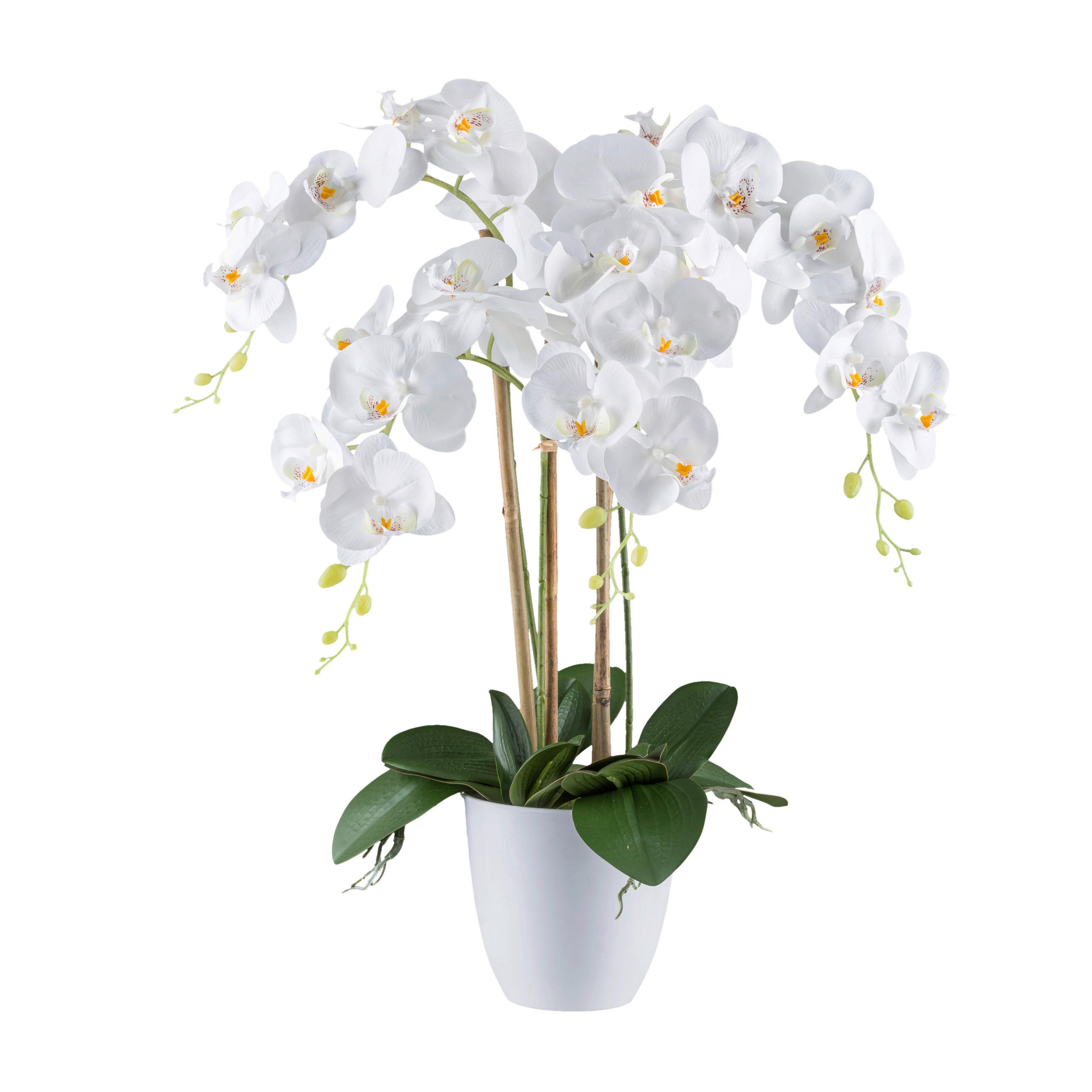 KUNSTPFLANZE Orchidee 62 cm  - Weiß/Grün, Design, Kunststoff (62cm) - P & B