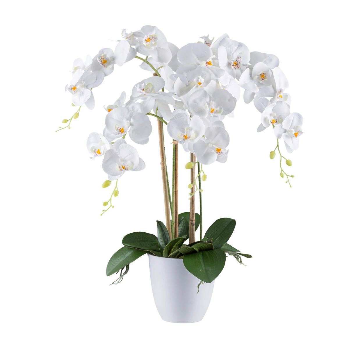 KUNSTPFLANZE Orchidee 62 cm  - Weiß/Grün, Design, Kunststoff (62cm) - P & B