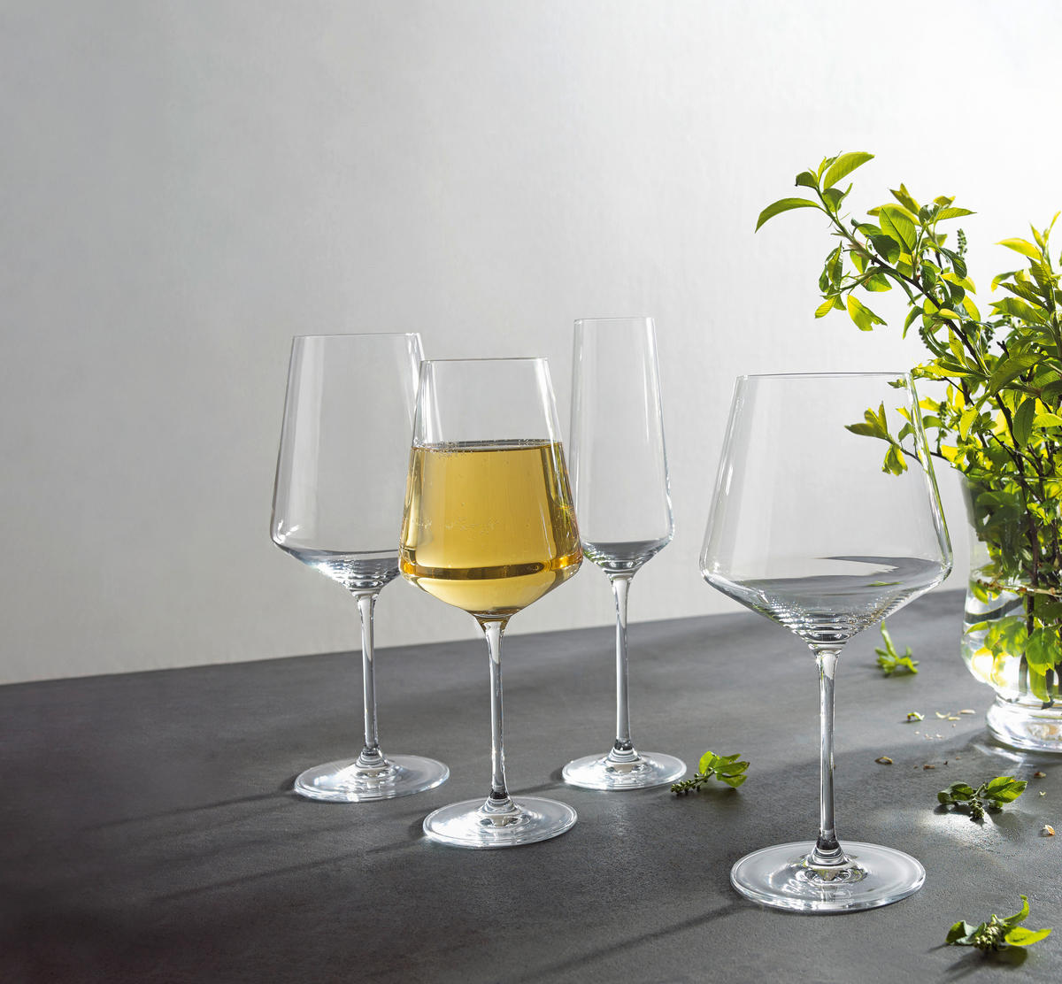 ČAŠA ZA PENUŠAVO VINO  280 ml  - providno, Osnovno, staklo (280ml) - Leonardo