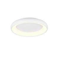STROPNÉ LED SVIETIDLO, 62/10 cm  - biela, Design, kov (62/10cm) - Trio Leuchten