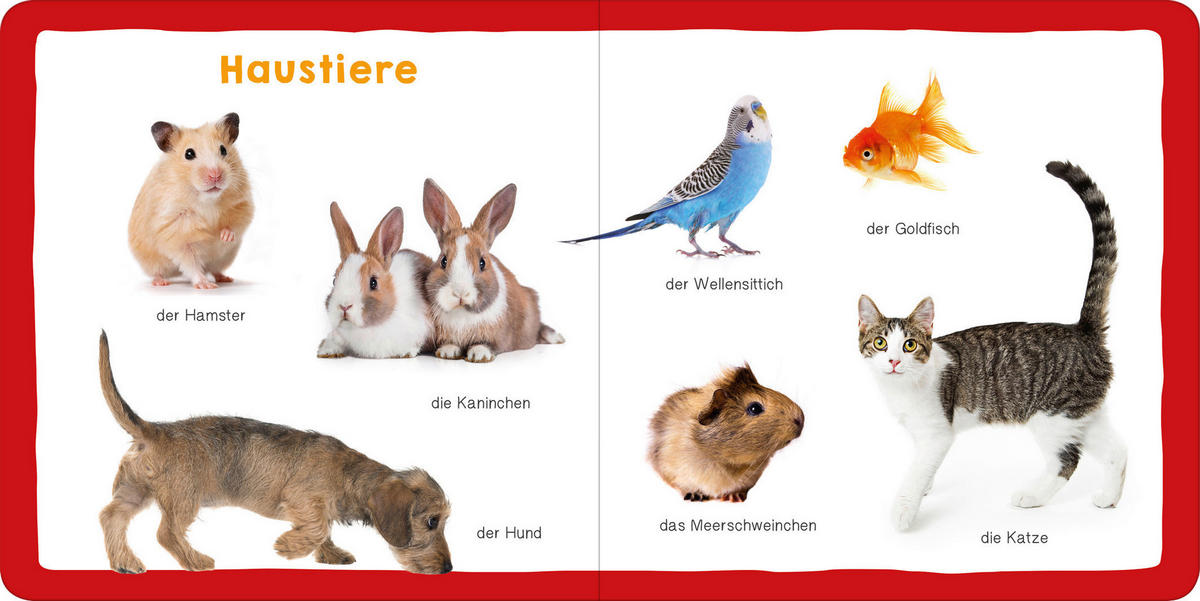 BILDERBUCH - Multicolor, Basics, Karton (16/16cm)