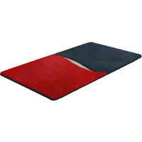 BADEMATTE Rot 60/100 cm  - Rot, Basics, Kunststoff/Textil (60/100cm) - Grund