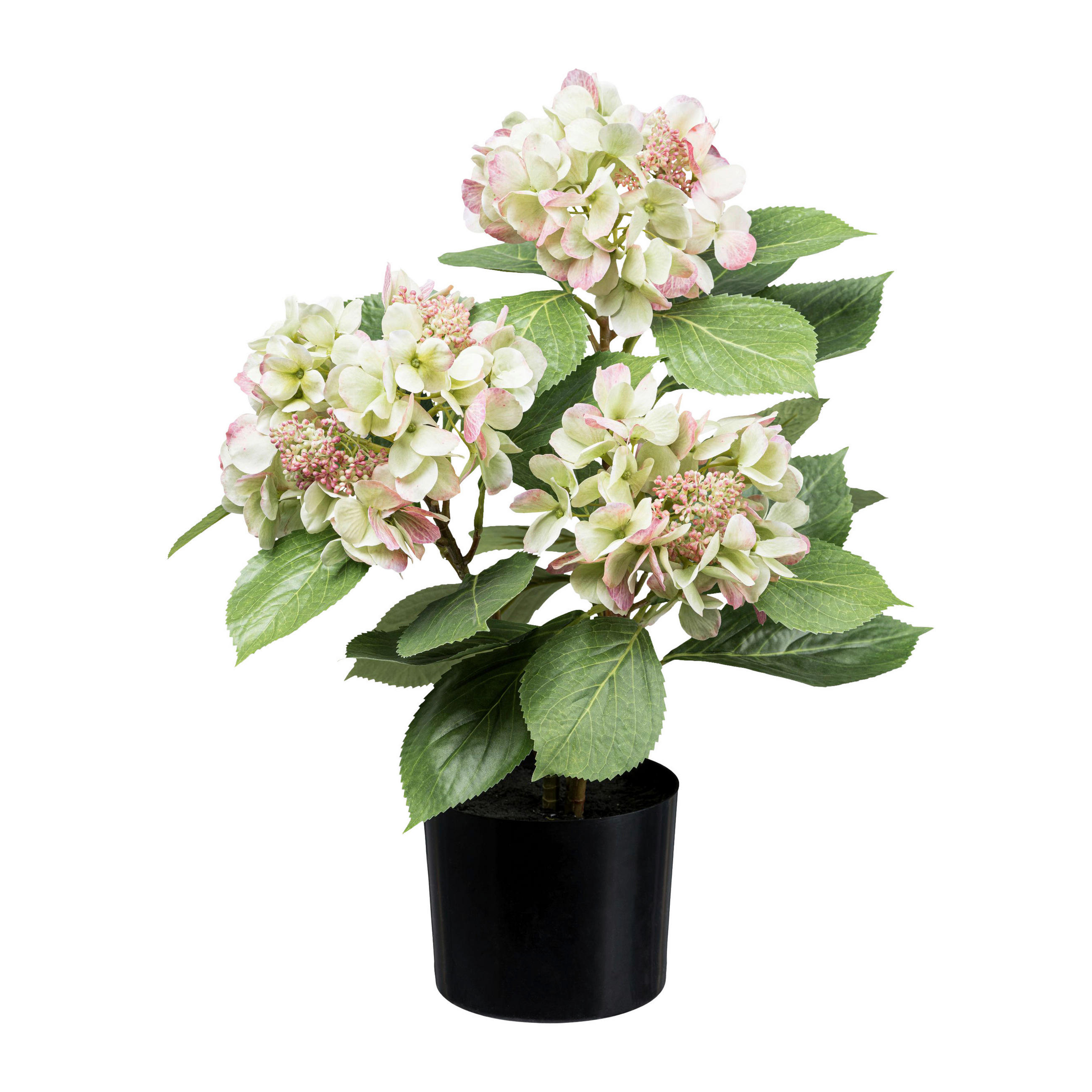KUNSTPFLANZE Hortensie 53 cm  - Schwarz/Rosa, Design, Kunststoff (53cm) - P & B