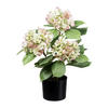KUNSTPFLANZE Hortensie 53 cm  - Schwarz/Rosa, Design, Kunststoff (53cm) - P & B
