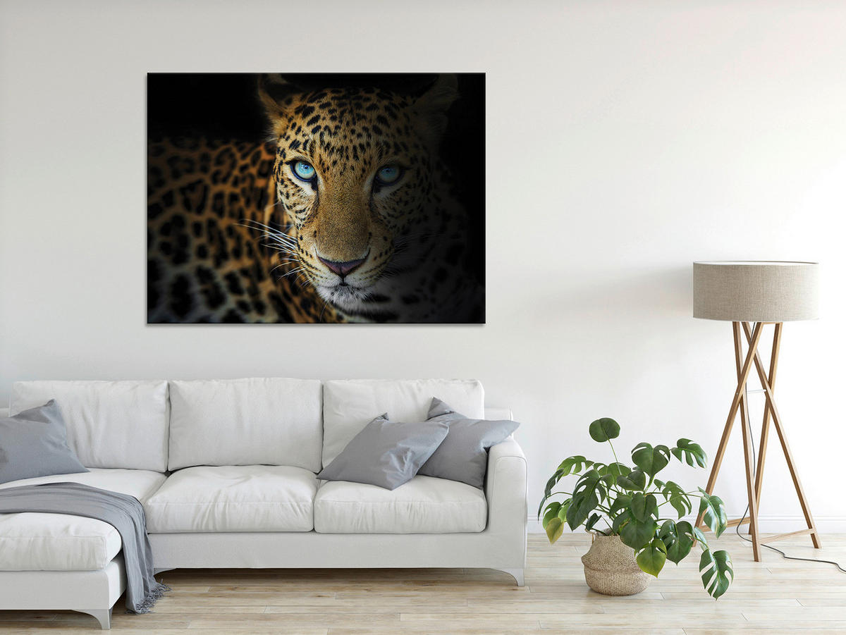 KEILRAHMENBILD Tiere 135/100 cm  - Schwarz/Weiß, LIFESTYLE, Holz/Papier (135/100cm)