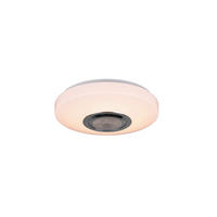 Plafonieră Cu Led  30/8 cm    - alb, Basics, plastic (30/8cm)