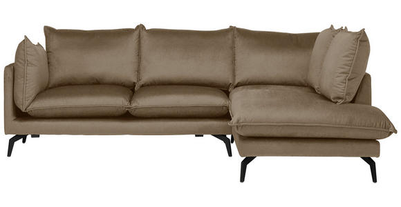 ECKSOFA  in Samt Hellbraun  241/200 cm  - Hellbraun/Schwarz, Design, Textil/Metall (241/200cm) - Carryhome