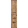 HOCHSCHRANK 35/165/37 cm  - Edelstahlfarben/Alteiche, Design, Glas/Holz (35/165/37cm) - Dieter Knoll