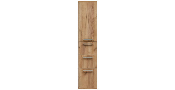HOCHSCHRANK 35/165/37 cm  - Edelstahlfarben/Alteiche, Design, Glas/Holz (35/165/37cm) - Dieter Knoll