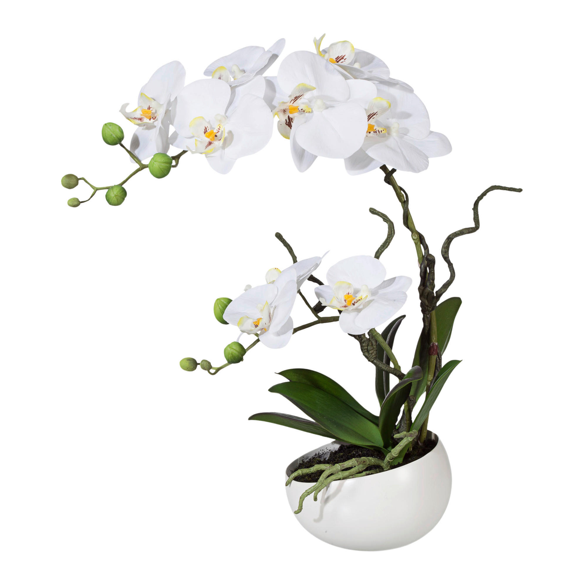 KUNSTPFLANZE Orchidee 42 cm  - Weiß/Grün, Design, Keramik/Kunststoff (42cm) - P & B