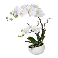 KUNSTPFLANZE Orchidee 42 cm  - Weiß/Grün, Design, Keramik/Kunststoff (42cm) - P & B