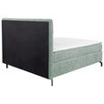 BOXSPRINGBETT 160/200 cm  in Mintgrün  - Schwarz/Mintgrün, Design, Textil/Metall (160/200cm) - Esposa