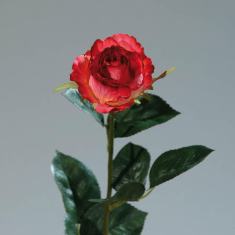 UMETNA ROŽA VRTNICA, 18 CM - rdeča/rumena, Konvencionalno, umetna masa/tekstil (18cm)