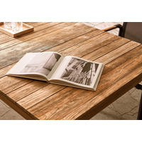 GARTENTISCHPLATTE 220/100/8,2 cm  - Teakfarben, Design, Holz (220/100/8,2cm) - Zebra 