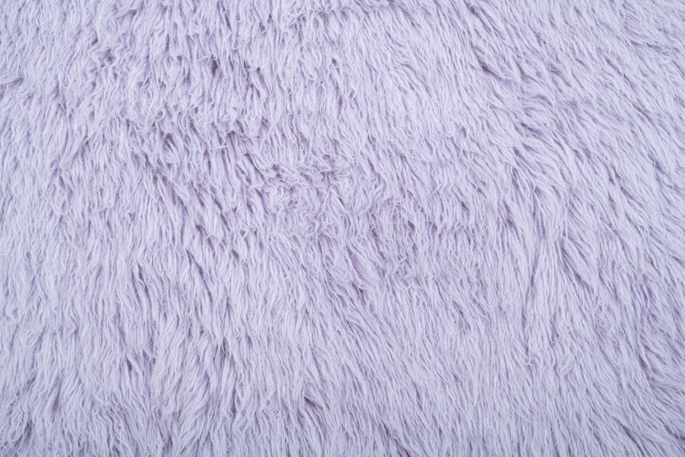 HOCHFLORTEPPICH 140/190 cm Lila  - Lila, Basics, Textil (140/190cm) - Tom Tailor