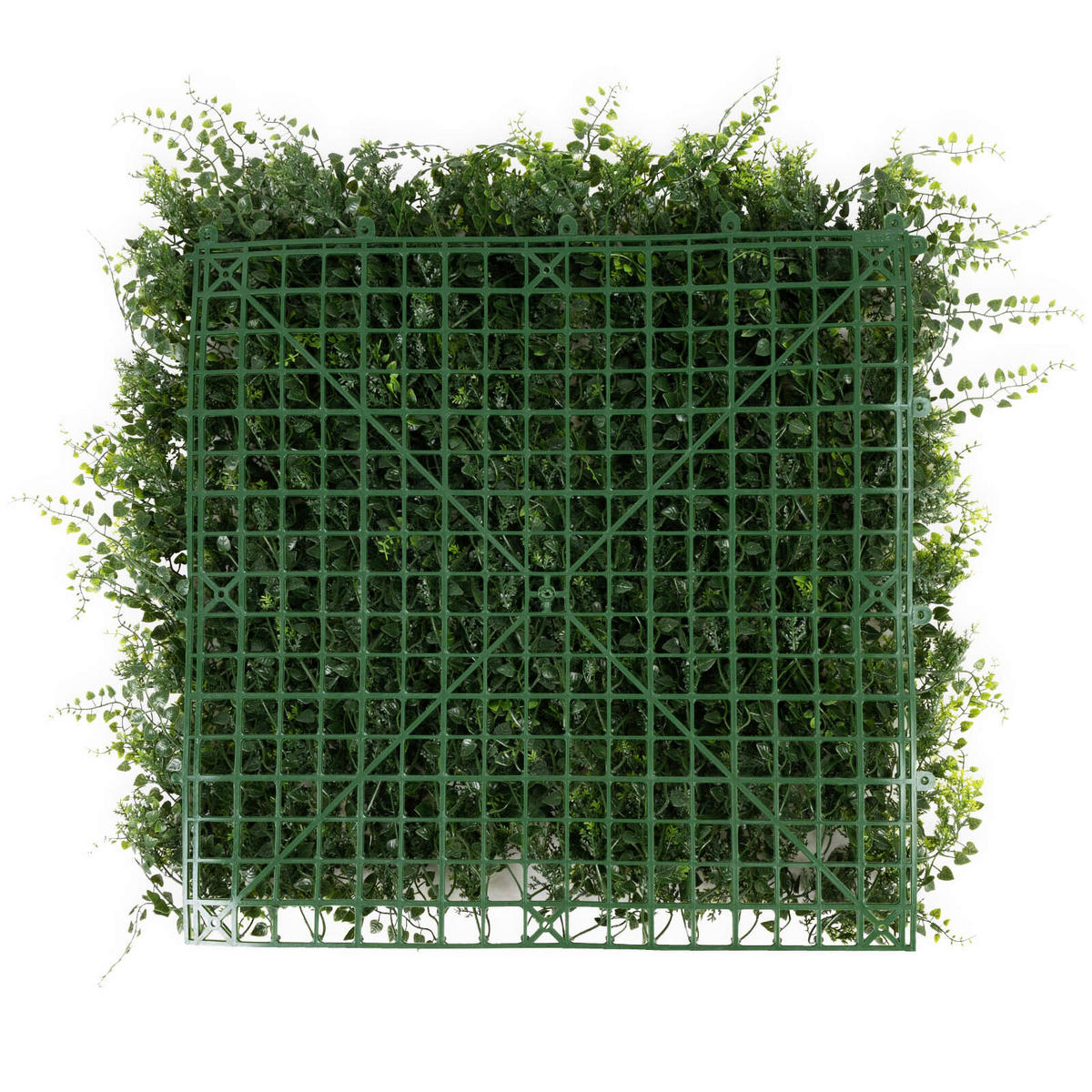 Wandverkleidung Pflanzenwand  Kunststoff  - Dunkelgrün/Jadegrün, Trend, Kunststoff (50/50cm) - Floordirekt