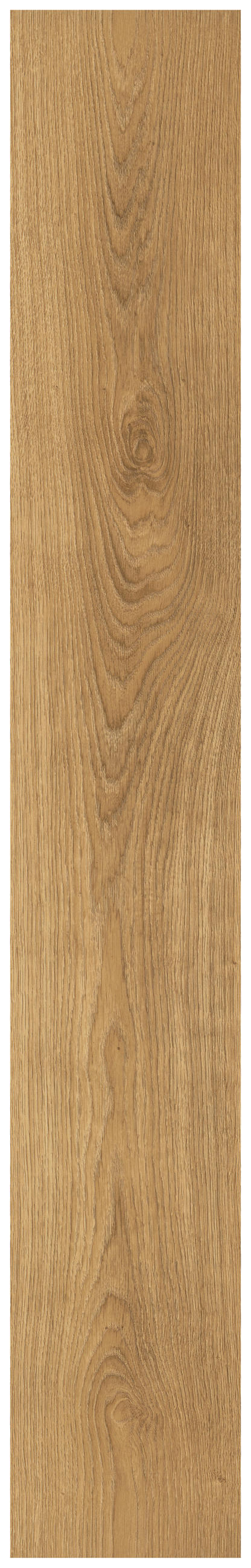 LAMINATBODEN Nord Eiche natur  per  m² - Eichefarben, KONVENTIONELL, Holzwerkstoff (129.2/19.3/0.7cm) - Venda