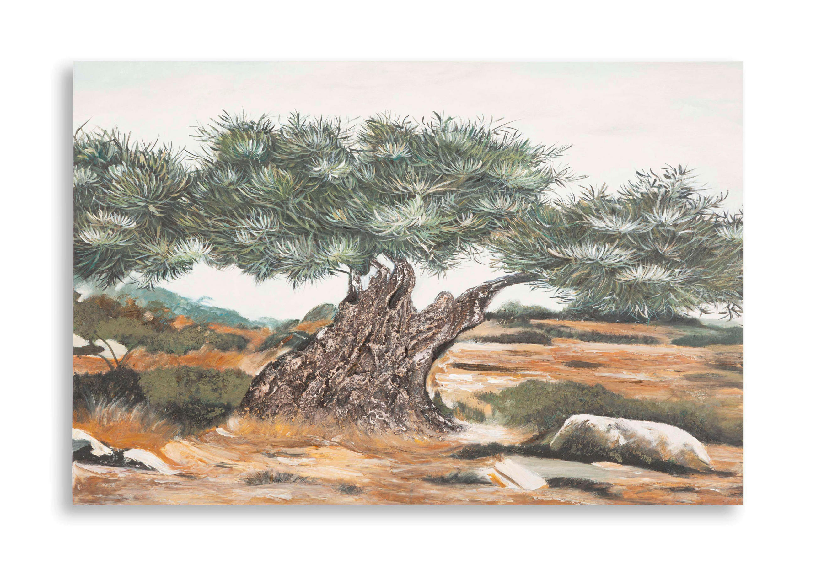 LEINWANDBILD Bäume  - Basics, Holz/Textil (120/80/3.8cm)